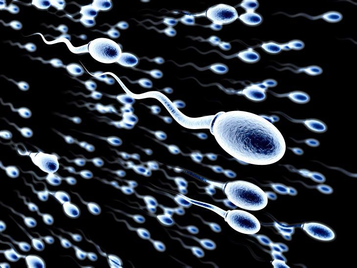 Semen Analysis and Male Fertility Testing at Vishvas Fertility Centre