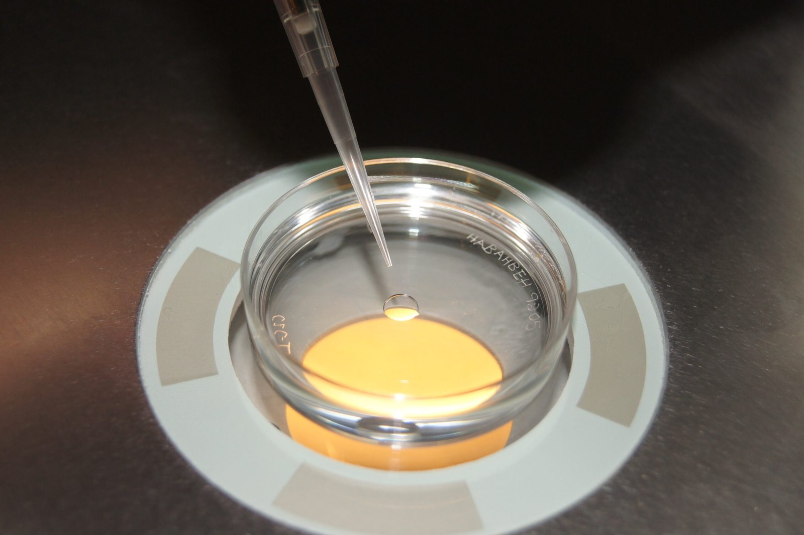 Advanced-IVF-Care-at Vishvas-Fertility-Centre