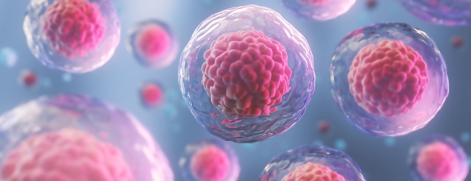 Comprehensive Fertility Services and Support