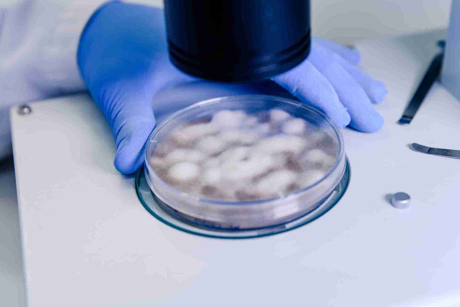 Advanced-IVF-Care-at Vishvas-Fertility-Centre