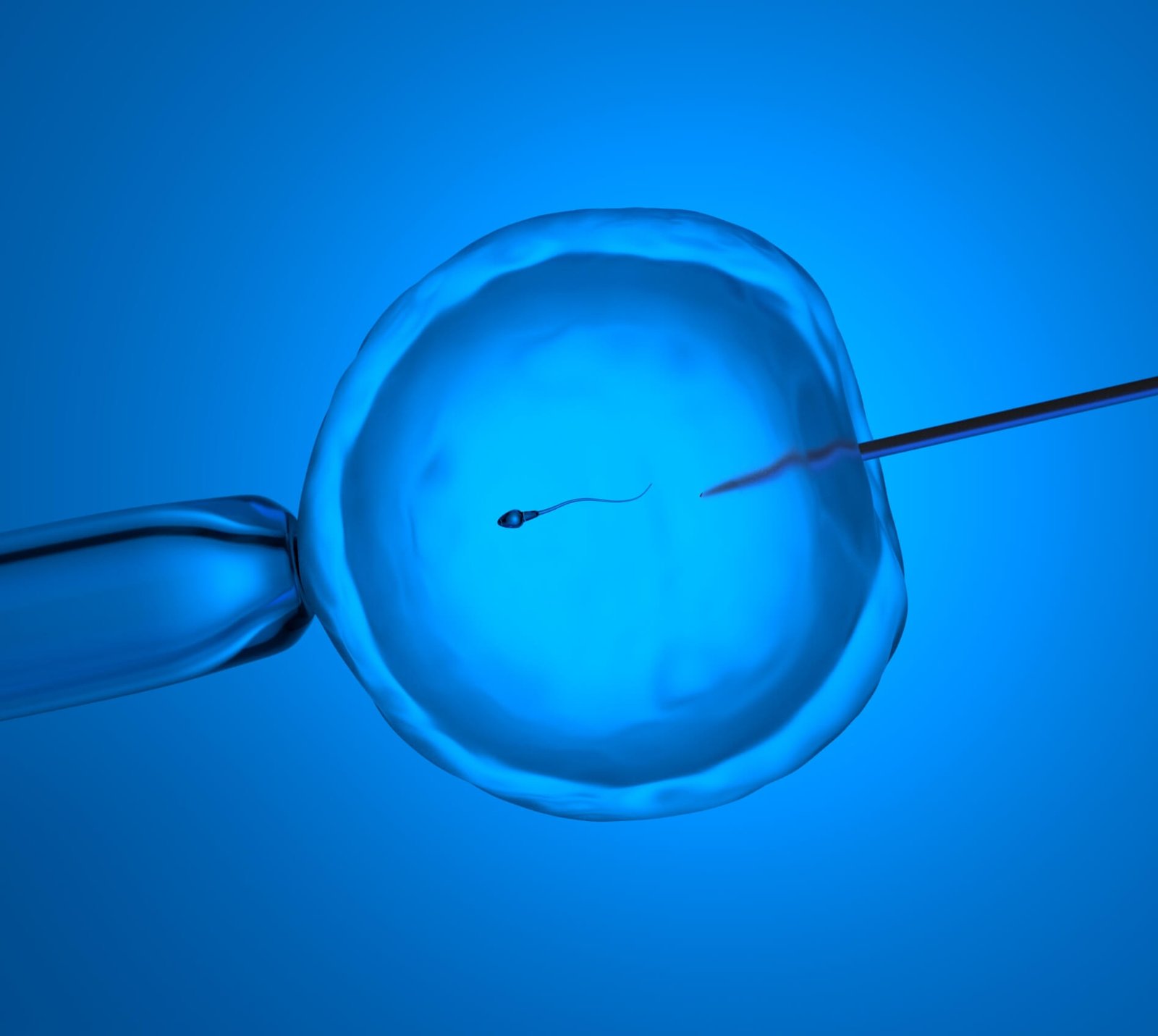 Comprehensive Fertility Services and Support