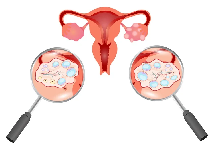 Comprehensive Fertility Services and Support