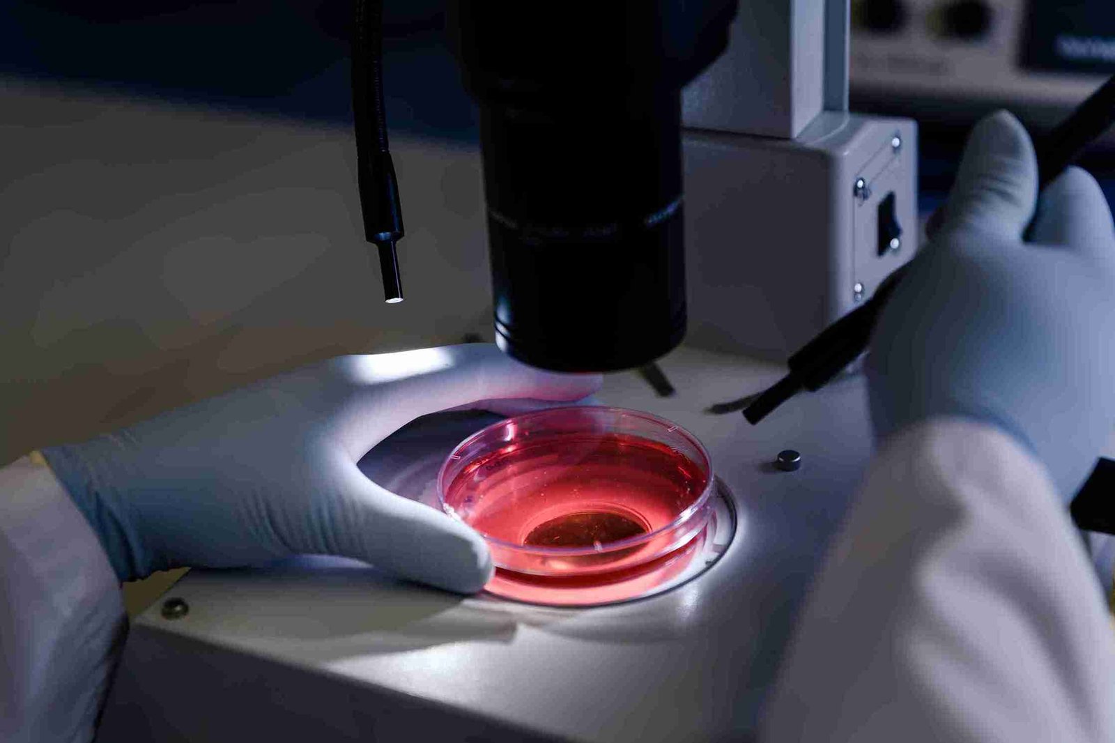 Advanced-IVF-Care-at Vishvas-Fertility-Centre