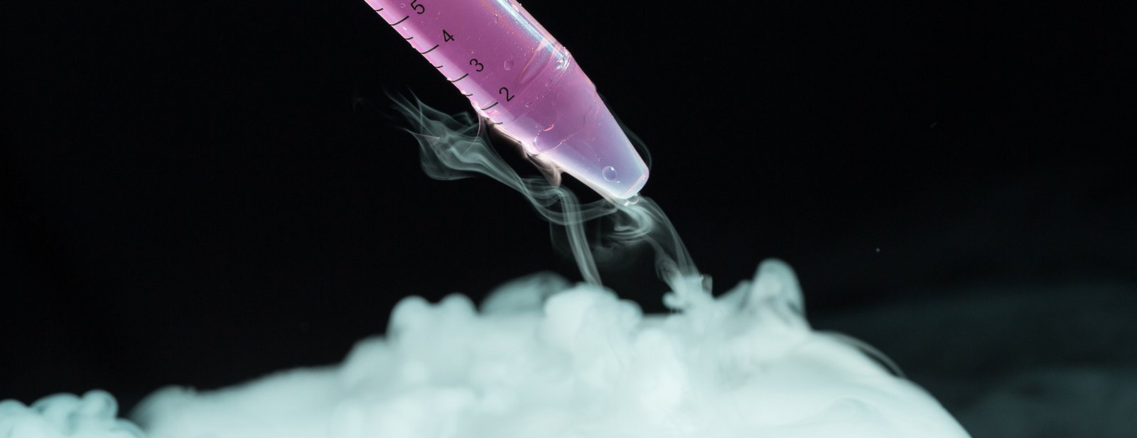 Comprehensive Fertility Services and Support